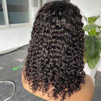 10 inch Transparent 4X4 Lace Closure Wig Short Body Wave Wig Human Hair