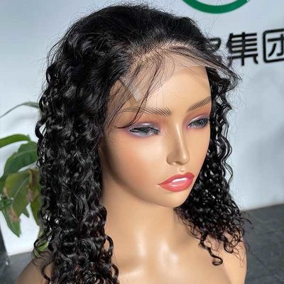 10 inch Transparent 4X4 Lace Closure Wig Short Body Wave Wig Human Hair