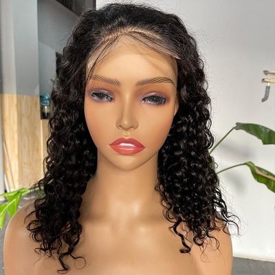 10 inch Transparent 4X4 Lace Closure Wig Short Body Wave Wig Human Hair